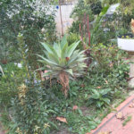 Terreno à venda com 4 quartos em Santana, São Paulo, SP
