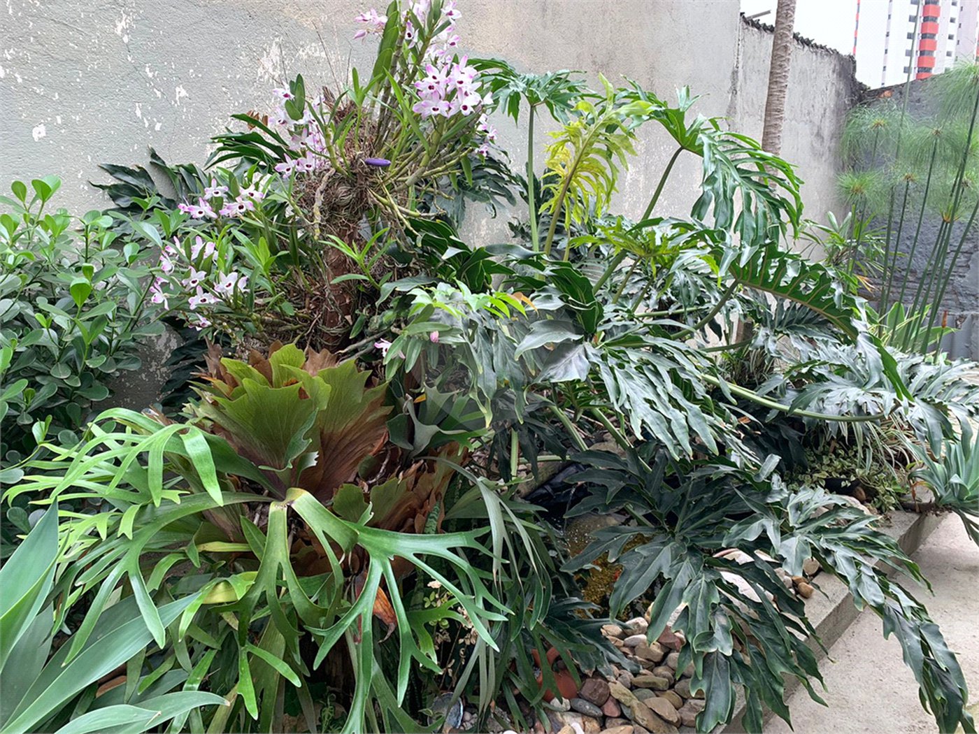 Casa à venda com 4 quartos em Vila Ipojuca, São Paulo, SP