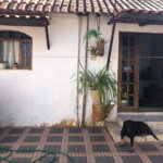 Casa Térrea à venda com 3 quartos em Tremembé, São Paulo, SP