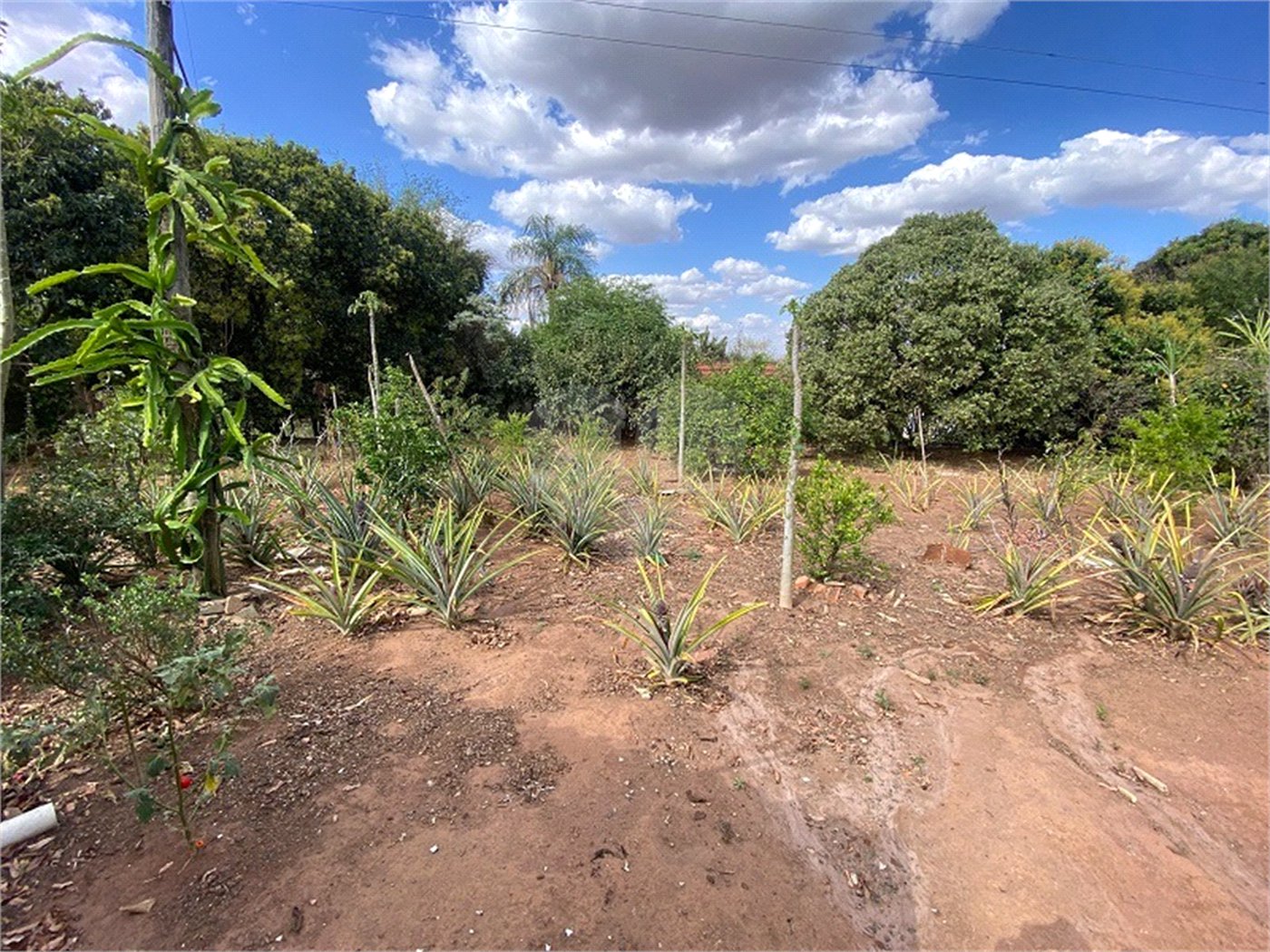 Excelente sitio para venda.