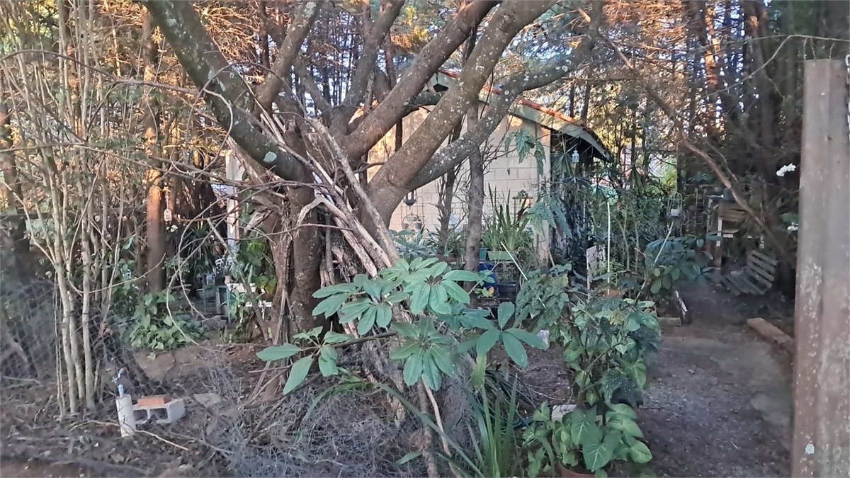 Chácara à venda com 3 quartos, sendo 1 suíte,  em Chácaras São Bento, Valinhos, SP