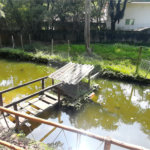 Chácara à venda com 10 quartos, sendo 20 suítes, em Serra da Cantareira, Mairiporã, SP
