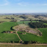 Sítio à venda com 2 quartos em Área Rural de Pereiras, Pereiras, SP