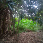 Terreno à venda em Casa Verde, São Paulo, SP