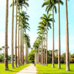 Apartamento para alugar com 1 suíte em Parque Residencial Aquarius, São José dos Campos, SP