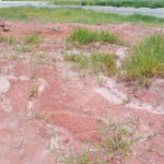 Terreno à venda no condomínio Residencial Reserva Bellano, Itatiba - SP