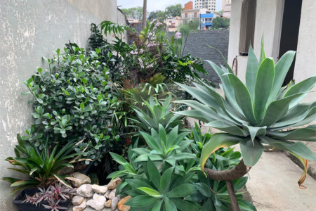 Casa à venda com 4 quartos em Vila Ipojuca, São Paulo, SP
