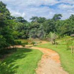 Terreno à venda no condomínio Golden Park Residence, Sorocaba - SP