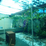 Sobrado à venda com 4 quartos em Jardim França, São Paulo, SP