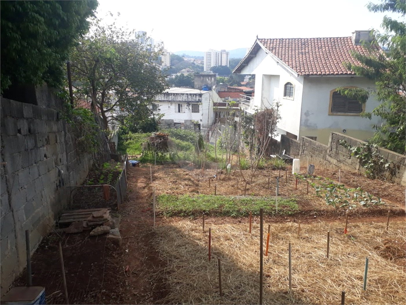 Terreno à venda em Água Fria, São Paulo, SP