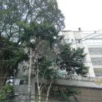 Apartamento à venda com 4 quartos, sendo 3 suítes,  em Tremembé, São Paulo, SP