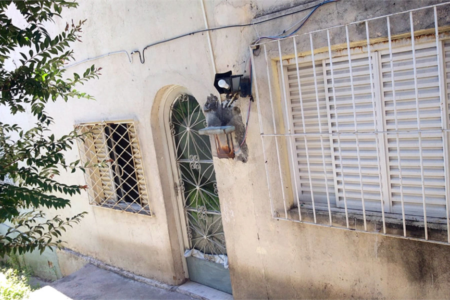 Casa à venda com 5 quartos em Imirim, São Paulo, SP