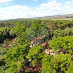 Área de Terra à venda no Centro Empresarial e Industrial Omar Maksoud, Araraquara, SP