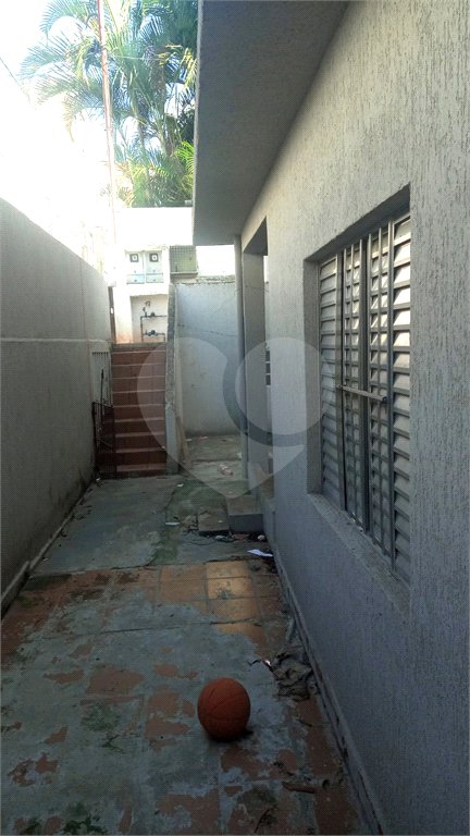 Terreno à venda com 3 quartos em Tucuruvi, São Paulo, SP