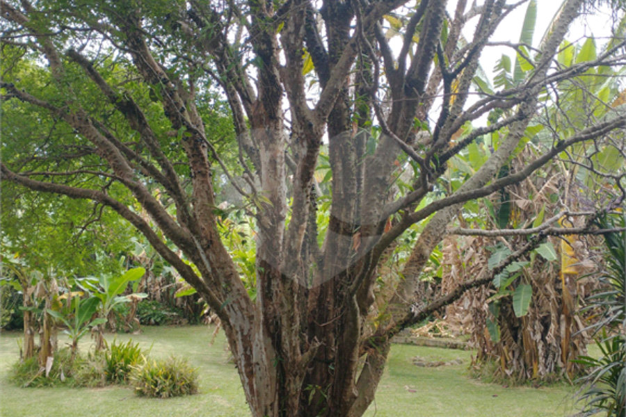 Terreno à venda em Jardim Bela Vista, Guarulhos, SP