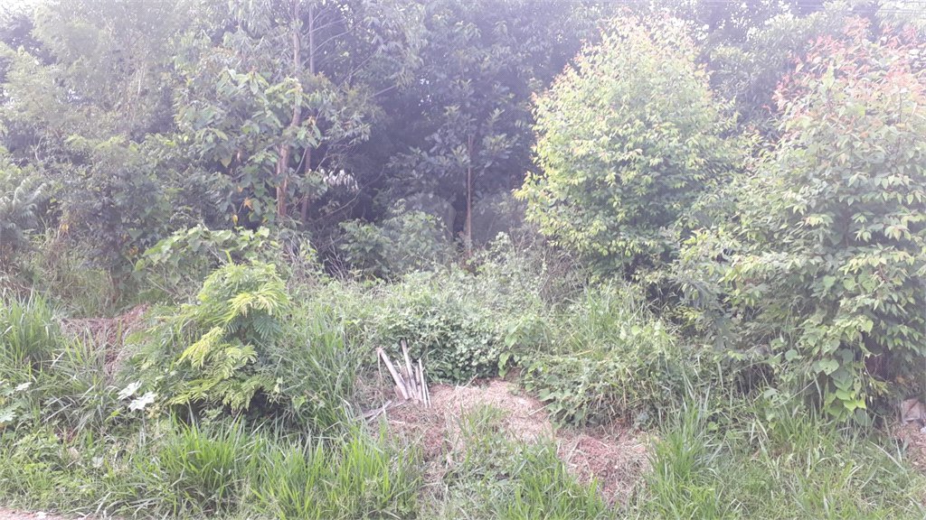 Terreno à venda em Capoavinha, Mairiporã, SP