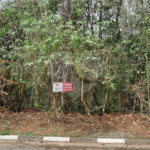 Terreno à venda em Serra da Cantareira, Mairiporã, SP