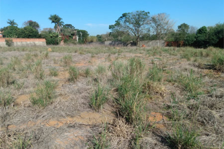 Terreno à venda em Jardim Colombo, Itapetininga, SP