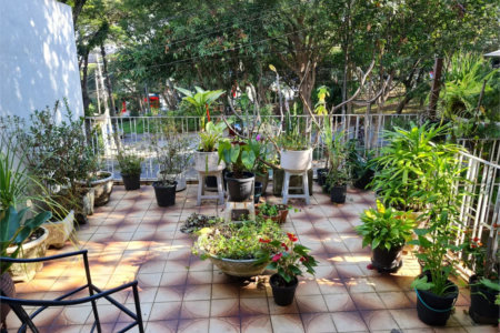 Casa à venda com 3 quartos em Jardim Bonfiglioli, São Paulo, SP