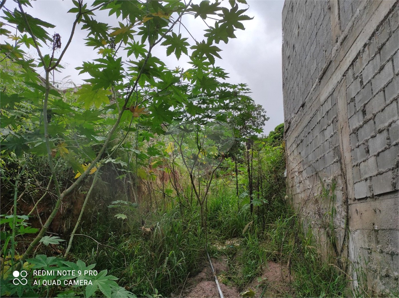 Terreno à venda em Chora Menino, São Paulo, SP