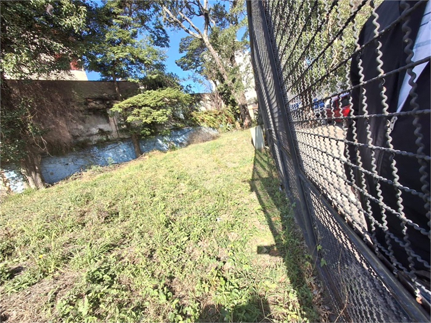 Terreno para alugar em Santana, São Paulo, SP