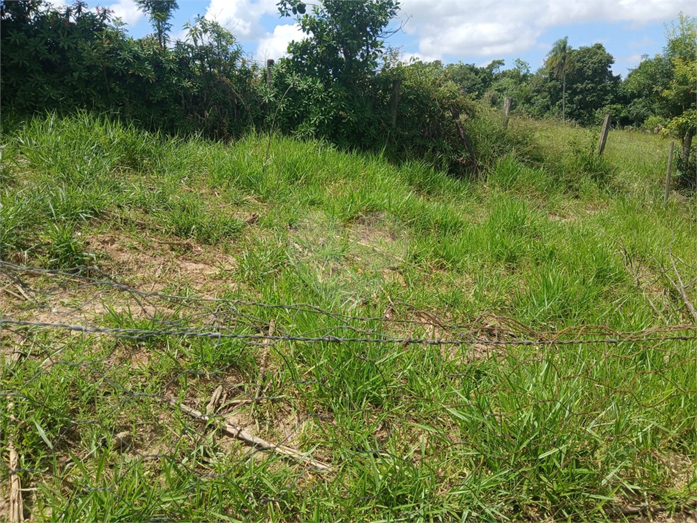 Terreno à venda com 1 quarto em Bairro Biscoito Duro, Itapetininga, SP