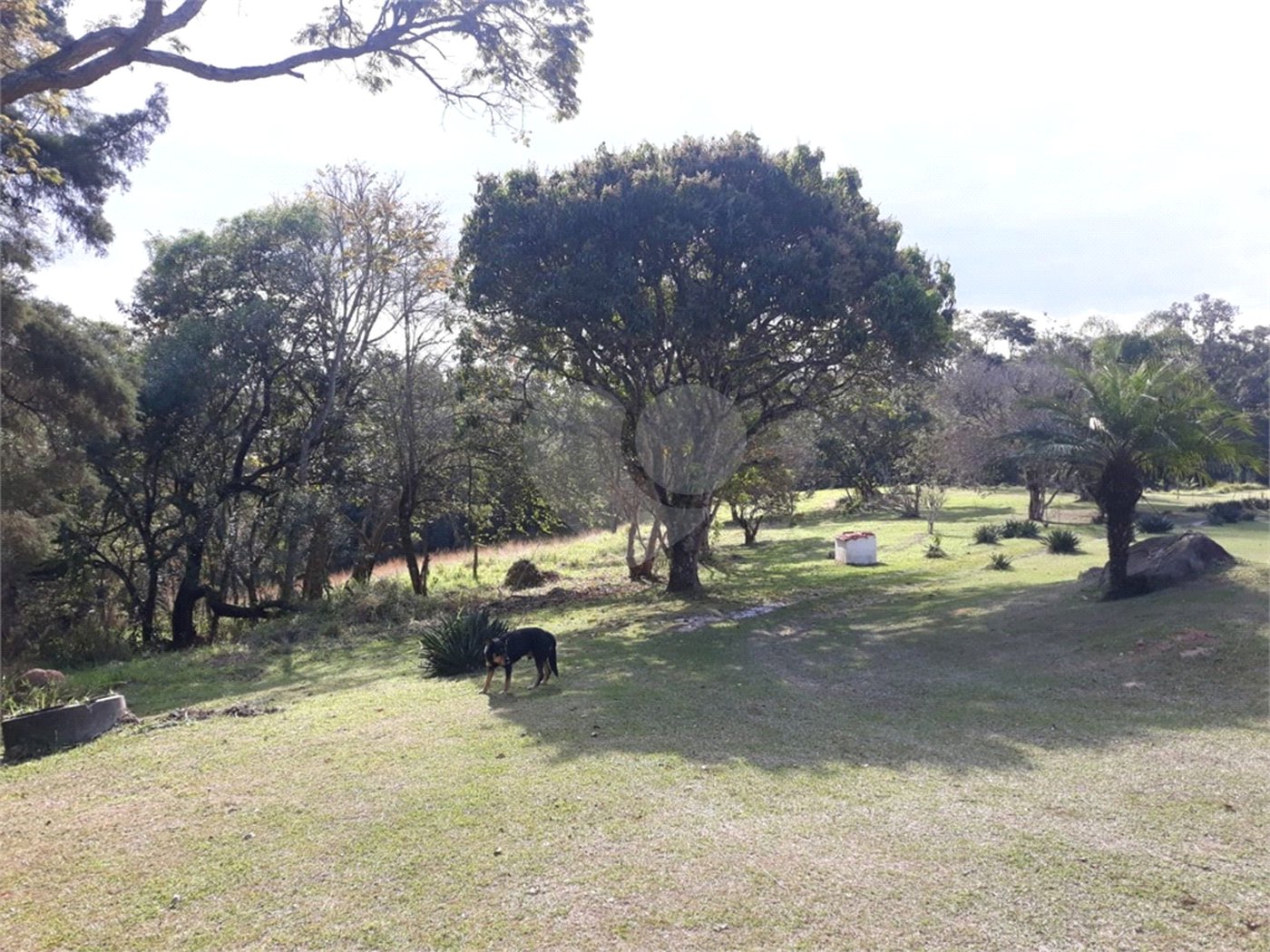 Sítio à venda com 5 quartos, sendo 3 suítes,  em Planalto Verde, São Roque, SP