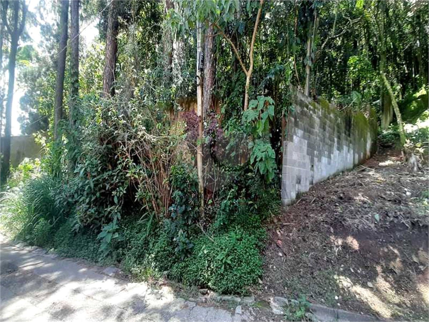 Terreno à venda em Serra da Cantareira, Mairiporã, SP