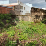 Casa térrea na Vila Monteiro