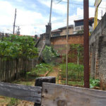 Casa Térrea à venda com 3 quartos em Casa Verde, São Paulo, SP