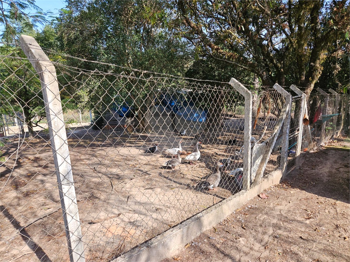 Sítio à venda em Mato Dentro, Indaiatuba, SP