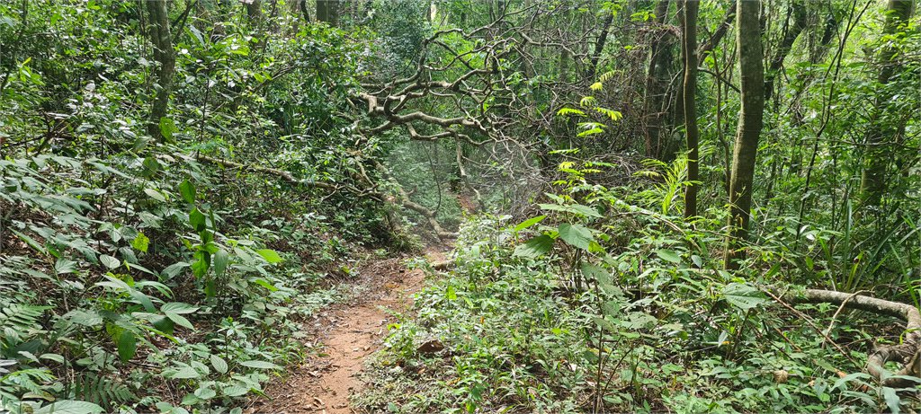 Terreno à venda em Caraguatá, Mairiporã, SP