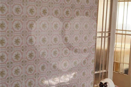 Casa Térrea à venda com 2 quartos em Vila Maria Baixa, São Paulo, SP