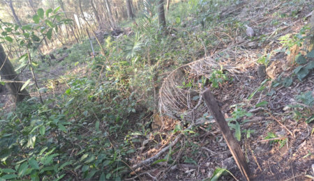 Terreno à venda em Serra da Cantareira, Mairiporã, SP