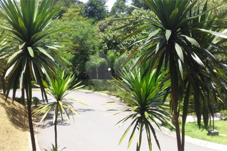 Apartamento à venda com 2 quartos em Água Chata, Guarulhos, SP