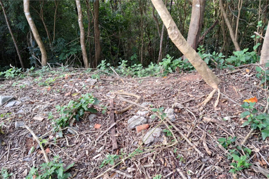 Terreno à venda no condomínio Alpes da Cantareira, Mairiporã - SP