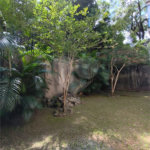 Sobrado à venda com 4 suítes em Barro Branco (zona Norte), São Paulo, SP