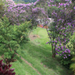 Chácara à venda com 3 quartos, sendo 1 suíte, em Jardim 21 de Março, Louveira, SP