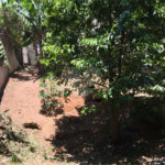 Sobrado à venda com 2 quartos, sendo 1 suíte,  no Brasilândia, São Paulo, SP