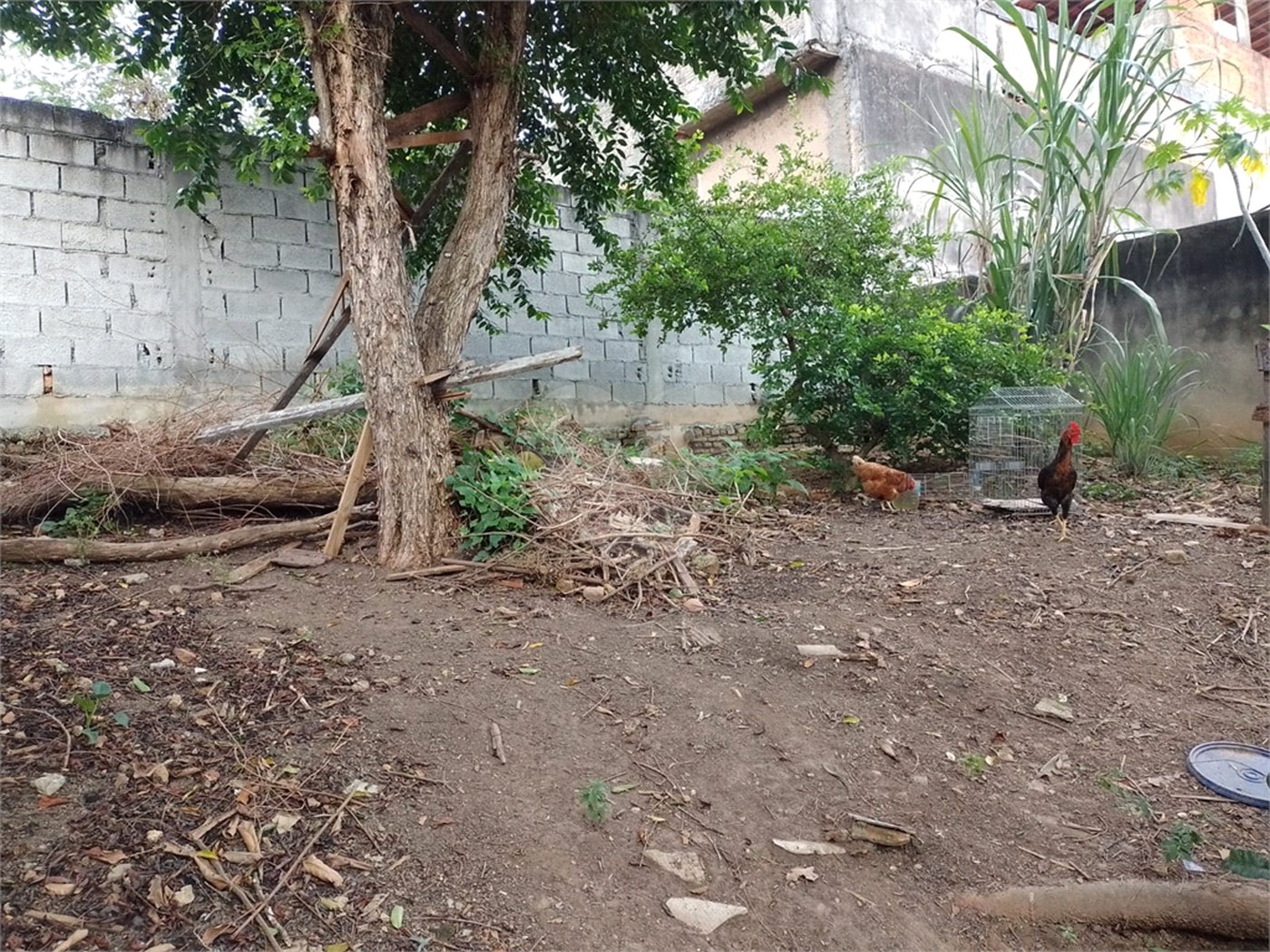 Terreno à venda com 1 quarto em Jaçanã, São Paulo, SP