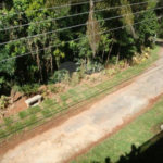 Sobrado à venda com 5 suítes em Juqueri Mirim, Mairiporã, SP