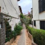 Casa de Vila à venda com 2 quartos em Tucuruvi, São Paulo, SP