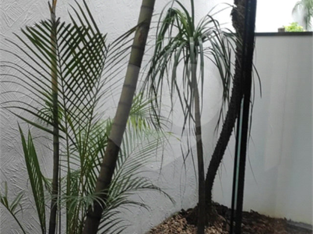 Apartamento para alugar com 1 quarto em Jardim São Paulo(zona Norte), São Paulo, SP