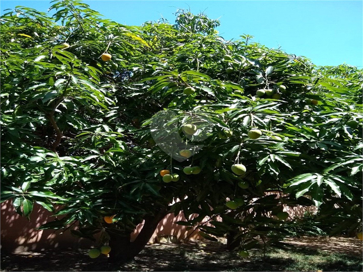 Chácara à venda com 4 suítes em Vale das Laranjeiras, Indaiatuba, SP