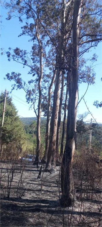Terreno à venda em Caete (mailasqui), São Roque, SP