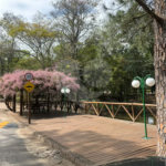 Sobrado em Meio à Natureza no Condomínio São Joaquim – Vinhedo/SP