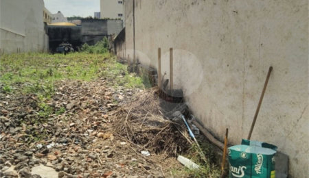 Terreno à venda ou para alugar em Santana, São Paulo, SP