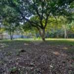 Terreno à venda com 1 quarto no condomínio Chácara Flora, São Paulo - SP