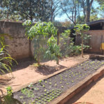 Chácara à venda com 3 quartos, sendo 1 suíte, em Chácara Flora Araraquara, Araraquara, SP