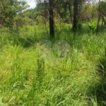 Terreno à venda em Vila Moraes, Mogi das Cruzes, SP